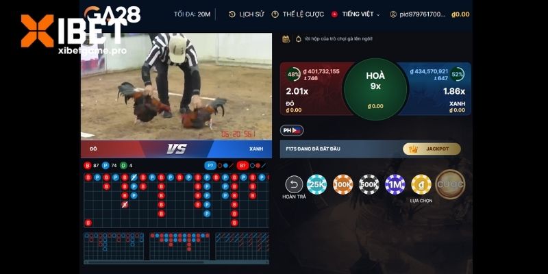 Luôn theo sát diễn biến trận đấu 